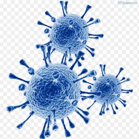 Профилактика гриппа, орви, коронавирусной инфекции