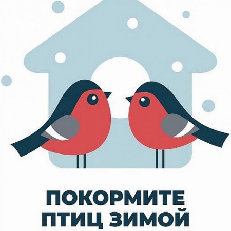 Акция «Покормите птиц зимой!»