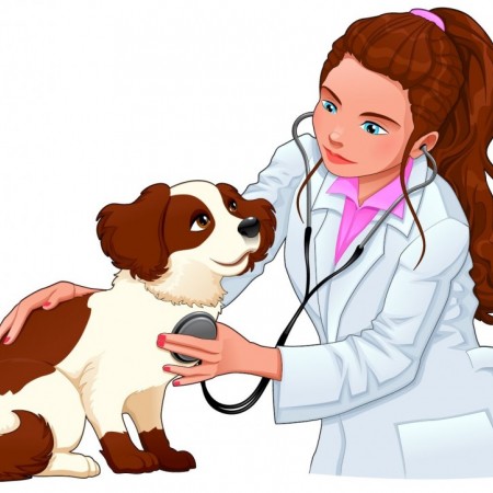 Интересная профессия - ветеринар