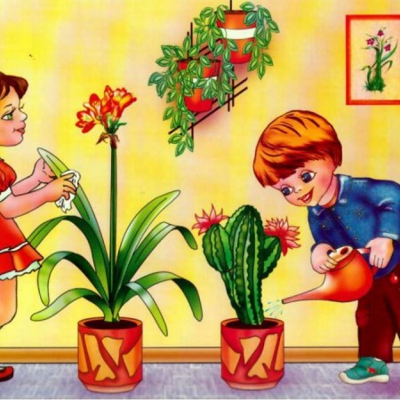 Рекомендации для родителей по теме "Комнатные растения"