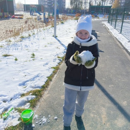 Первый снег