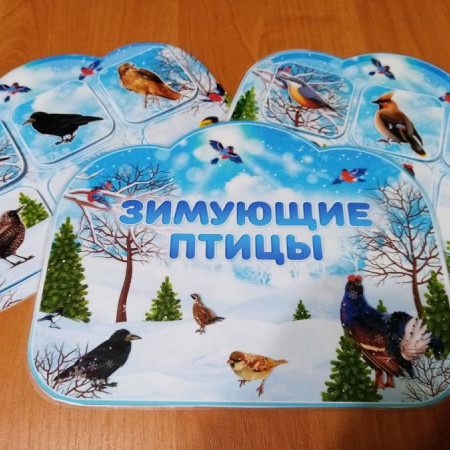 «День зимующих птиц»